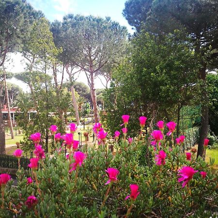 Casa Margherita Affittacamere B&B Follonica Bagian luar foto