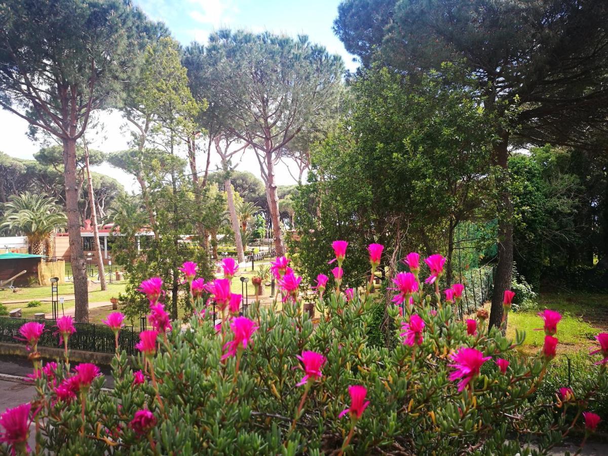 Casa Margherita Affittacamere B&B Follonica Bagian luar foto